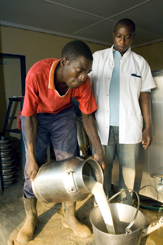 A technician records quantities and&lt;p&gt; checks the quality of the milk